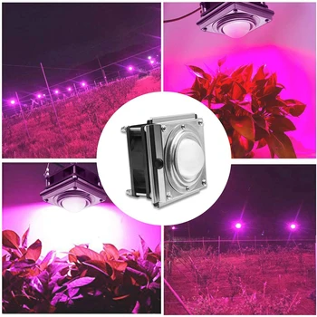 COB LED Rásť Svetlo Vnútorné Phyto Lampa Pre Rastliny, 1000W celé Spektrum Led Rast Lampa Rásť Stan Box Lampy Pre Domáce Rastliny, Kvety