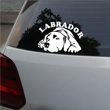 Roztomilý Pes Labrador Auto Nálepky Vozidla Telo Okno Reflexné Nálepky-Nálepky Dekorácie KK Vinyl
