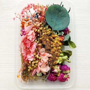 Sušené Kvety Package Zmiešané Večný Kvety a Zeleň pre KUTILOV, Sviečky, Aromaterapia Pohľadnice Epoxidové Plavidlá Zariadené a PAK