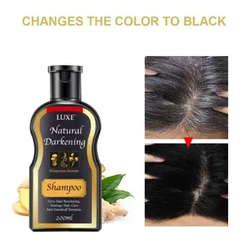 200 ml Čierne Vlasy Šampón Prírodné Stmavnutie Šampón Trvalé Prírodné Ginger Maľovanky Podmienky Anti-Hair Loss Biele Vlasy Kryt