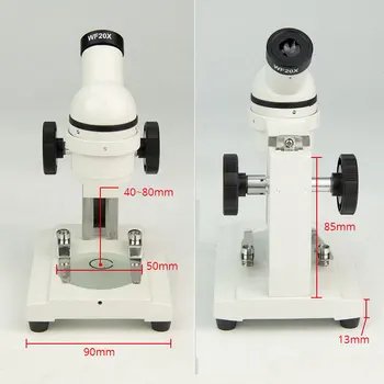 Stereo Mikroskopom 40x Mini Monokulárne Pitvať Mikroskopom UP-správny Obraz pre Školské Laboratórium Mikroskopom Vedy Reaserch
