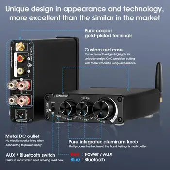 Douk Audio NS15G Mini Bluetooth 5.0 TPA3116 Digitálny Zosilňovač hi-fi Stereo Audio Zvuk Class D Zosilňovač Basov, Výšok, Pre Reproduktor
