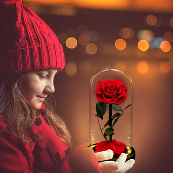 Večný Rose Kráska a Zviera Rose Večný Umelé Kvety Nočné Svetlo V Sklenenou Kupolou Narodeniny, Valentín Svadobné Dary