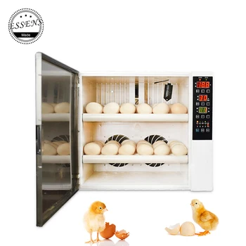 2019 Inkubátor 60 Slepačie vajcia mini vajíčko inkubátor plne automatické 220V &12V Duálne Napätie
