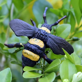 Oenux 10PCS Hmyz, Zvieratá, Model Butterfly Koníkov Bee Ant Mantis Akčná Figúrka Postavy Miniatúrne Vzdelávacie Hračky Pre Deti,