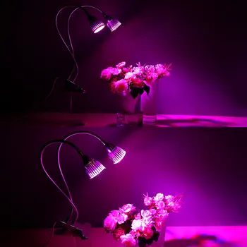 10W Dvojité Hlavu Gooseneck LED Rastlín Rastú Svetlo Klip stolná Lampa Hydroponické Stôl Rásť Ľahké Záhradné Osvetlenie LED Rásť Svetlo