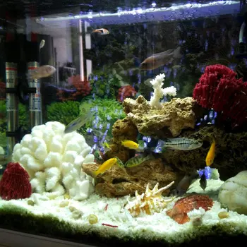 Aquamatic Reálne Coral Dekor Morského Dna Kameň Ocean Fish Tank Akváriu Dekorácie Fotografie Vápnika Kusov Skutočné More Coral Biela