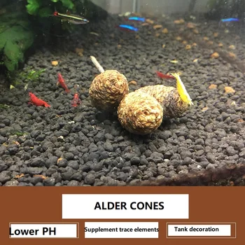 Jelša kužele vplyv pH a farby v akváriu