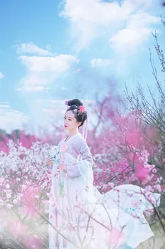 Staroveké Dynastie Han Princezná Oblečenie Národnej Hanfu Oblečenie Žien Klasického Tanca Kostým Festival Strany Vyhovovali Fáze Výkonu