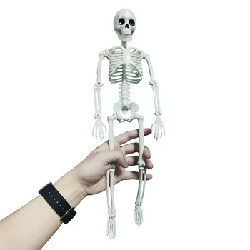 1 ks Ľudské telo plastový skelet Študent laboratórne model vtip rekvizity Retro ornament dekorácie 40 cm výška Halloween rekvizity
