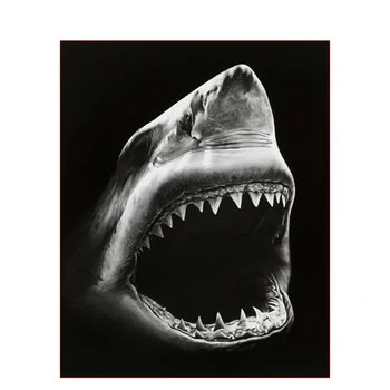 Olej Maľovanie Podľa Čísel Shark DIY Sady Na Plátno S Rámom 40x50 Pre Dospelých, Akrylová Farba Kreslenie, Maľovanky Podľa Počtu Domova