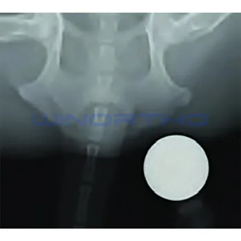 Radiographic Odkaz Loptu veterinárnej ortopedické nástroj zvierat 25 mm Priemer pet