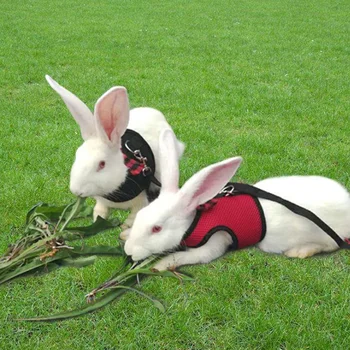 Móda Pet Oka Mäkký Postroj S Vodítku Malých Zvierat Vesta Viesť pre Škrečkov Králik Bunny Hogard