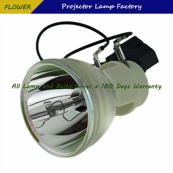 SP-LAMPA-065 Nové Kompatibilné Projektor Žiarovka Pre INFOCUS SP8600/SP8600 HD3D/IN8601/SP8600HD3D Projektor