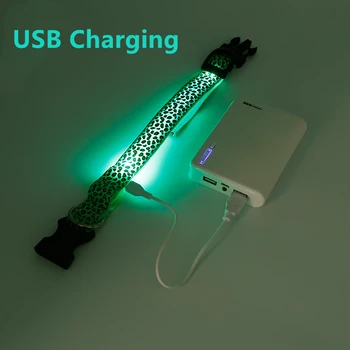 LED Obojok USB Nabíjateľné Nylon Psa Svietiace Obojok Leopard Nočné Svetlo Anti-Stratil Obojky Pre Mačky, Pet Príslušenstvo Produkty