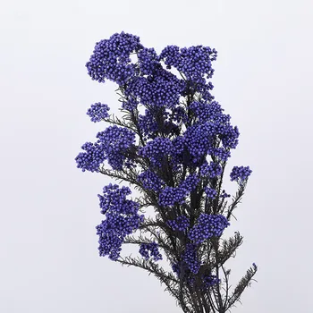50 cm Prírodných Rastlinných Sušené Kvety Čerstvé Konzervované Nesmrteľný, Proso Flores Dekorácie Kytice Darček Pre Home/Svadba/Party Decor