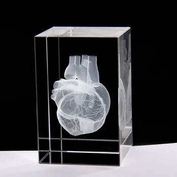 3D Stereoskopické Crystal Vnútorné Rezbárstvo Ľudské Srdce Anatómie Model 50*50*80 mm