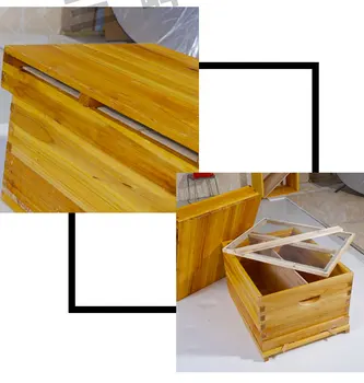 51*41*26 cm Pribrala Honeycomb Vodotesný Box 10 Drevené Rámy Včelárskych Zariadení Zmontovanom Včelieho Medu Prietok Úľa