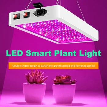 LED Rásť Svetlo celú Škálu 5730 LED Čipy Phyto Rásť Lampa 3000W Phytolamp Pre Rastliny Domov Rastlín Lampy Phytolamp Pre Vnútorné zariadenia